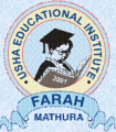 Usha Educational Institute (UEI)