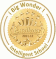 I Big Wonder Intelligent School logo