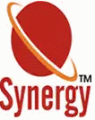 Synergy School logo