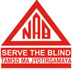 National Association for The Blind logo