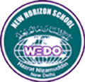 New Horizon School logo1