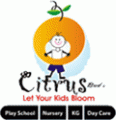 Citrus Buds Play School