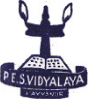P.E.S. Vidyalaya logo