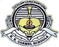 K.E. Carmel School logo