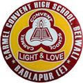 Carmel Convent High School logo