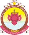 Shri Hanuman Bux Gograj Bagaria Senior Secondary Public School logo
