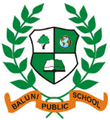 Baluni-Public-School-logo