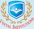 Vestal Institute of Management and Information Technology logo