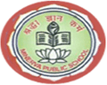 Minerva-Public-School-logo