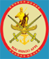 Mai Bhago Armed Forces Preparatory Institute for Girls
