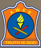 Army Public School Danapur logo