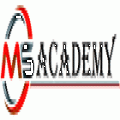 MS Academy