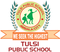 Tulsi Public School