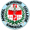 Angel-Nursing-College-logo