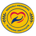Sephali Memorial Nursing Institute logo