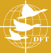 DMI Foundations - DFT