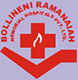 Bollineni Krishnaiah Charitable Trust logo